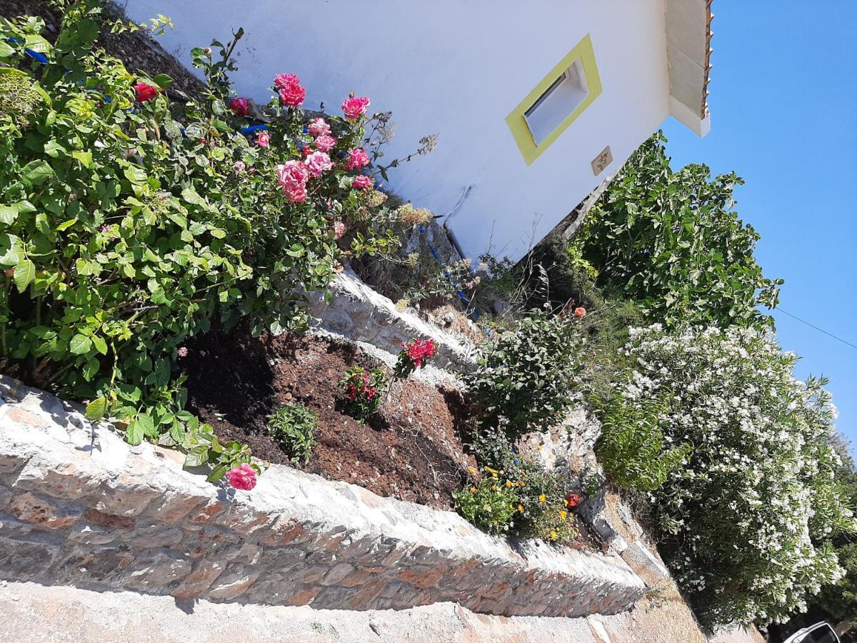 Villa Lemon Garden 1 Karidi Exterior foto